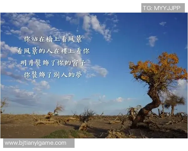 篮球明星书柜里的智慧与梦想如何塑造他们的职业生涯与人生哲学