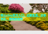 糖心vlog官方入口：记录生活，分享快乐，发现新视界