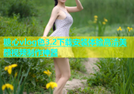 糖心vlog色3.2下载安装体验高清美颜视频制作神器